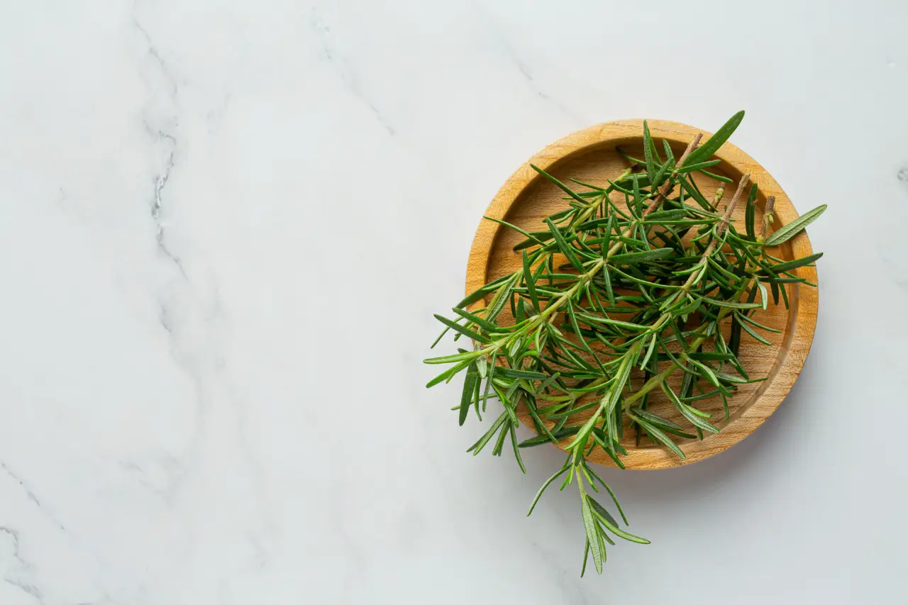 Coltiva rosmarino aromatico in casa: indicazioni essenziali per una crescita sana Coltiva rosmarino aromatico in casa: indicazioni essenziali per una crescita sana