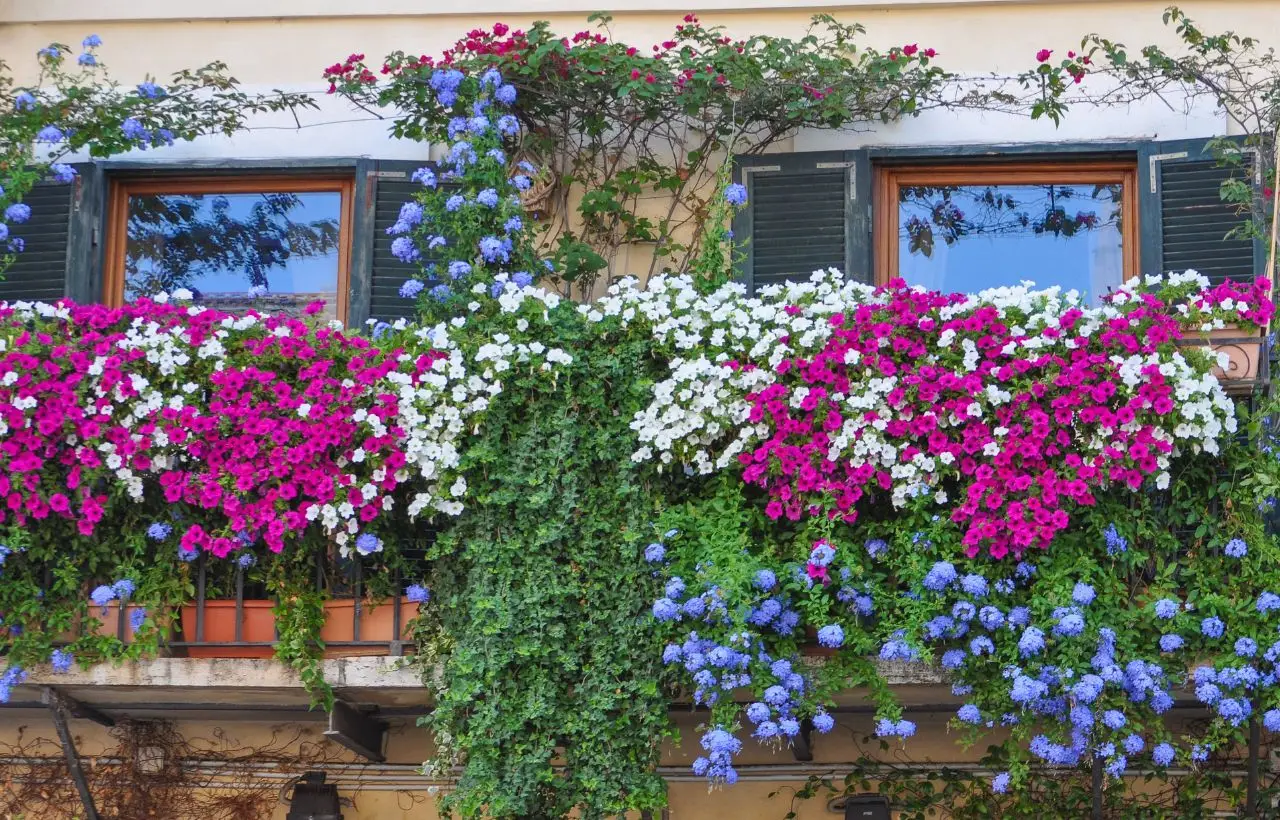 Trucchi d’esperienza per piante aromatiche sempre verdi anche in balcone Trucchi d’esperienza per piante aromatiche sempre verdi anche in balcone