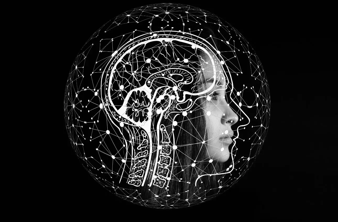 Integratori naturali e salute mentale: le sostanze con effetti apprezzati dagli esperti Integratori naturali e salute mentale: le sostanze con effetti apprezzati dagli esperti