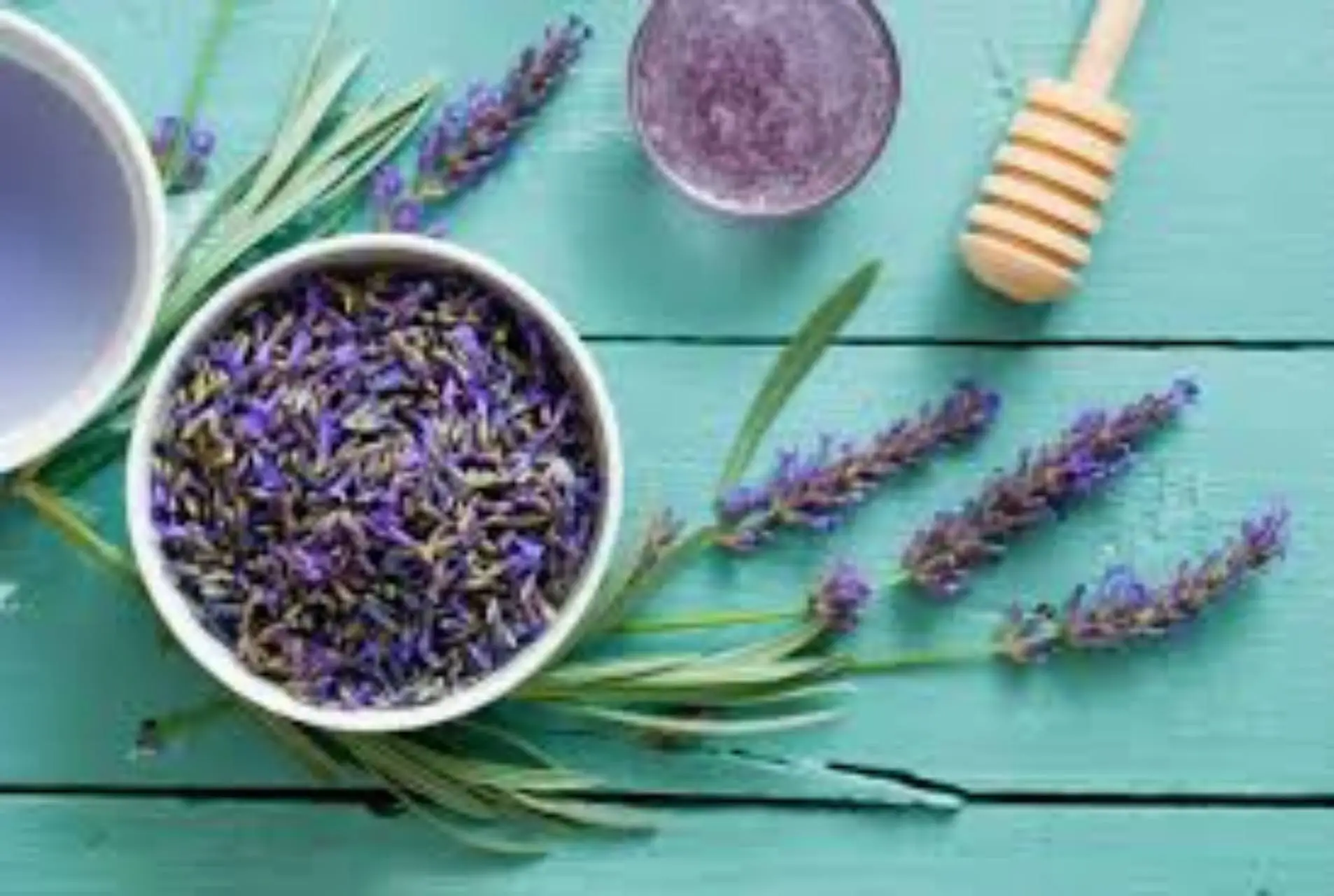 Lavanda domestica senza errori: tecniche per fioriture continue e profumatissime Lavanda domestica senza errori: tecniche per fioriture continue e profumatissime