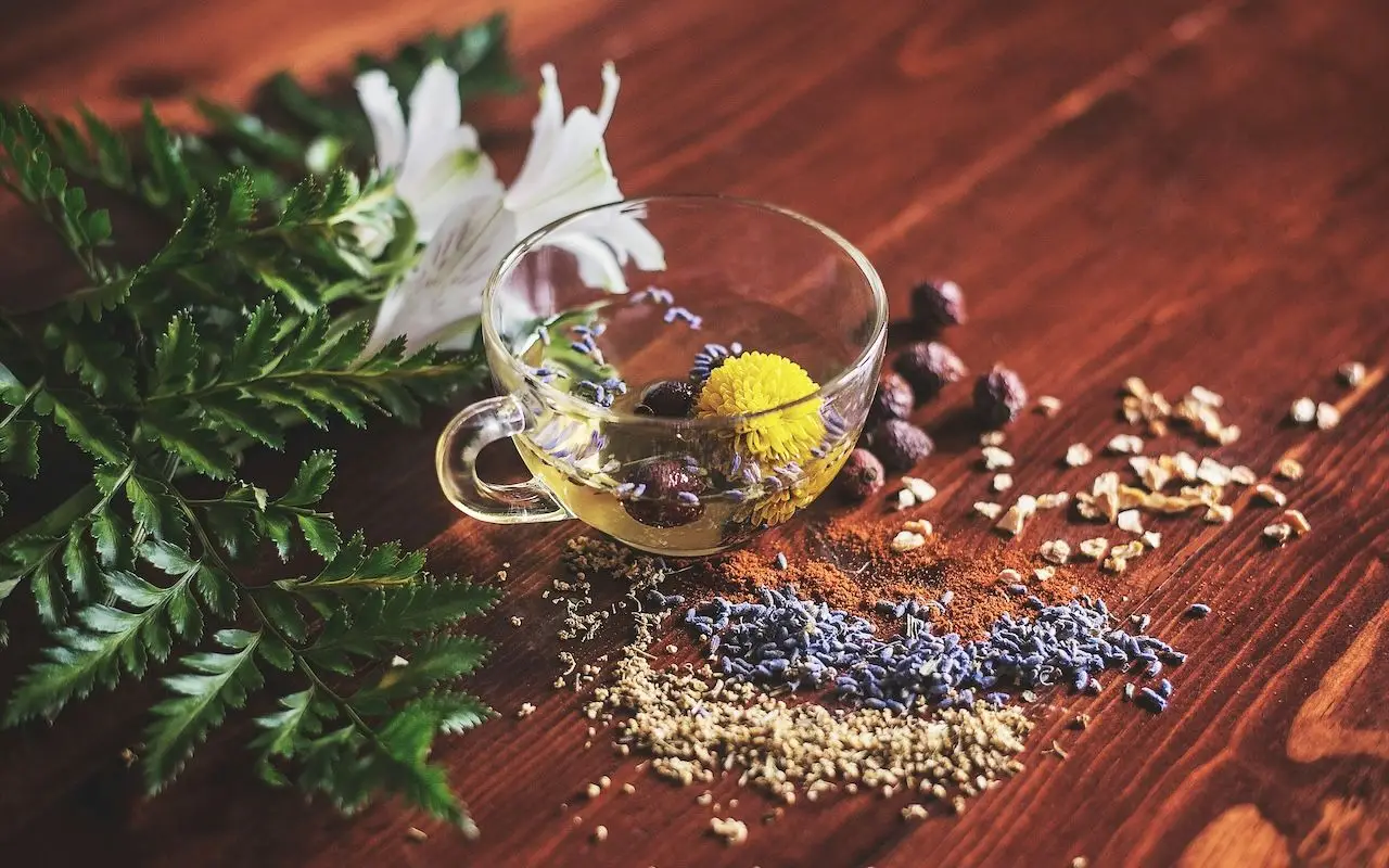 Prepara in casa una bevanda alleata della memoria usando ingredienti stagionali Prepara in casa una bevanda alleata della memoria usando ingredienti stagionali